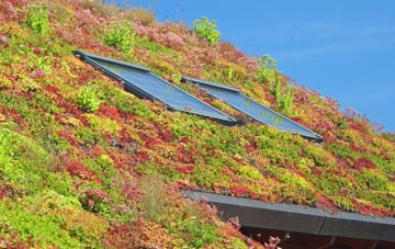 Burnley living roof systems