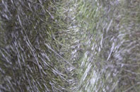 Burnley fibreglass roof work